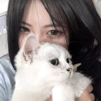 仙缘剑侠传奇游戏