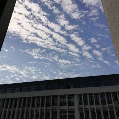 机械恐龙官方版下载
